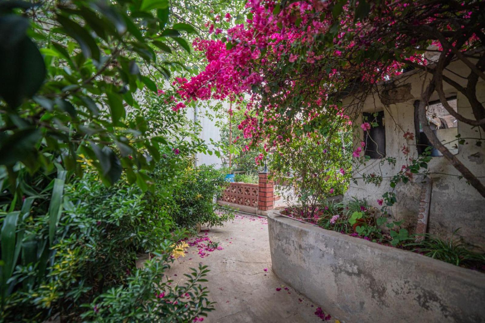 Central House With Beautiful Garden 암만 외부 사진